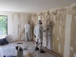 San Rafael, CA Mold Prevention & Removal  Company